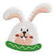 Hase