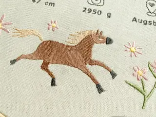 personalisiertes-babygeschenk-pferdemotiv-3