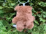 servus-bear
