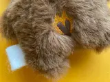 servus-bear