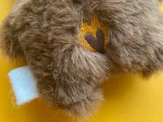 servus-bear