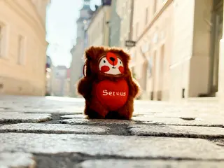 servus-bear-tag