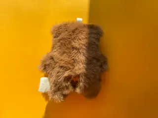 servus-bear-tag