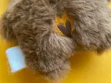 servus-bear-tag