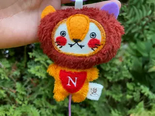 teddy-lion