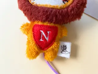 teddy-lion